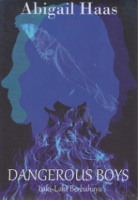 Image of Dangerous Boys